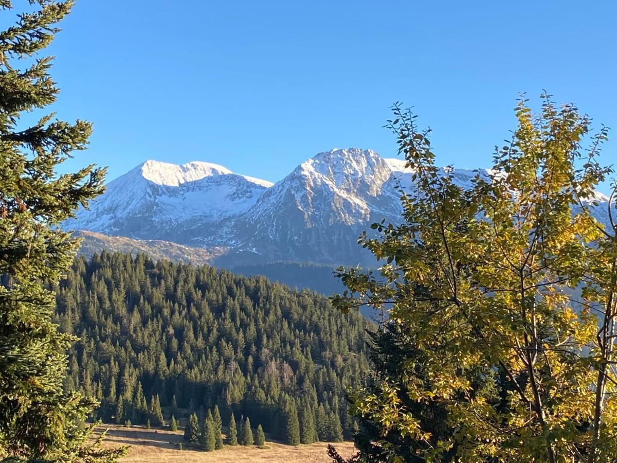 Au Bachat-Bouloud, Appartement 3 Pieces 6 Personnes Avec Balcon Plein Sud Chamrousse Eksteriør bilde